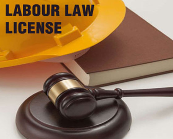 ESI & PF Consultants in Bangalore